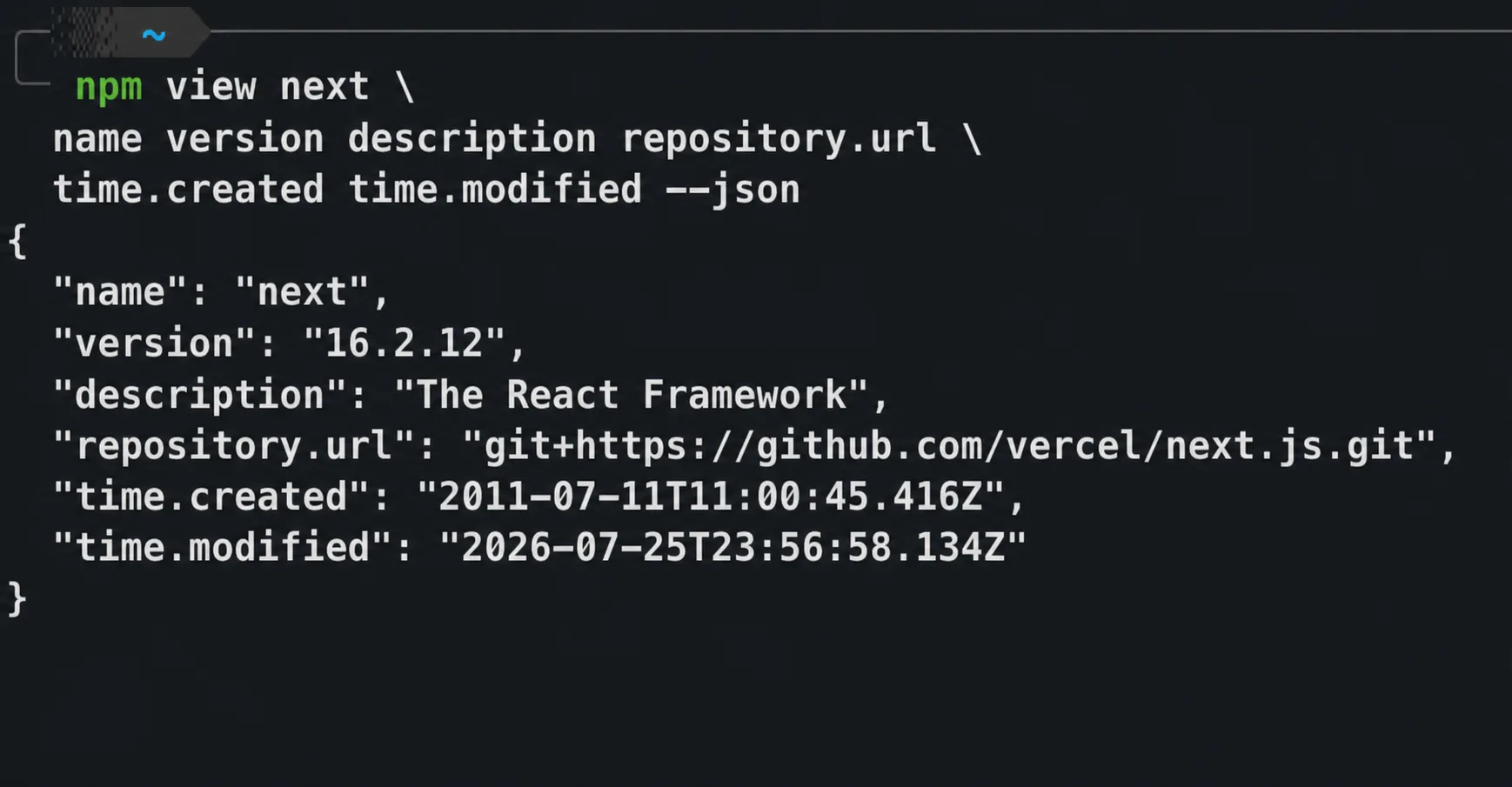 Terminal showing npm view output for the Next.js package name, version, repository, and creation date