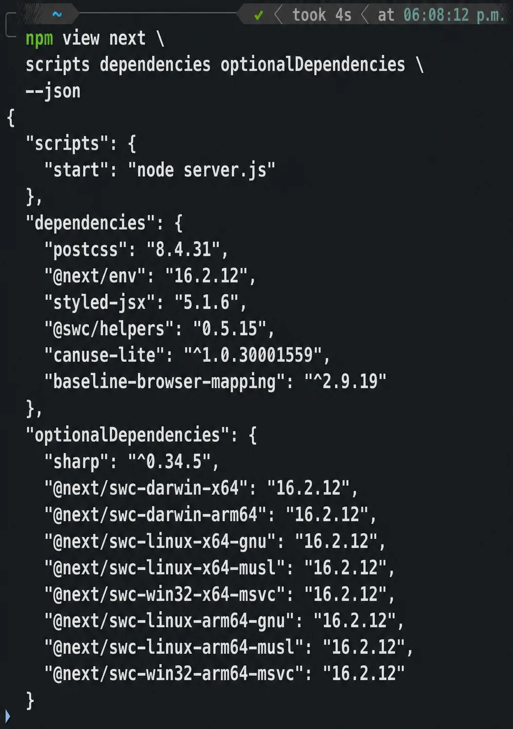 Terminal showing npm view output for the Next.js lifecycle scripts, dependencies, and optional dependencies