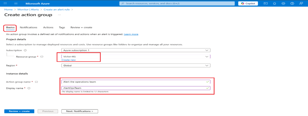 Screenshot: On the Basics tab, enter the values for each setting