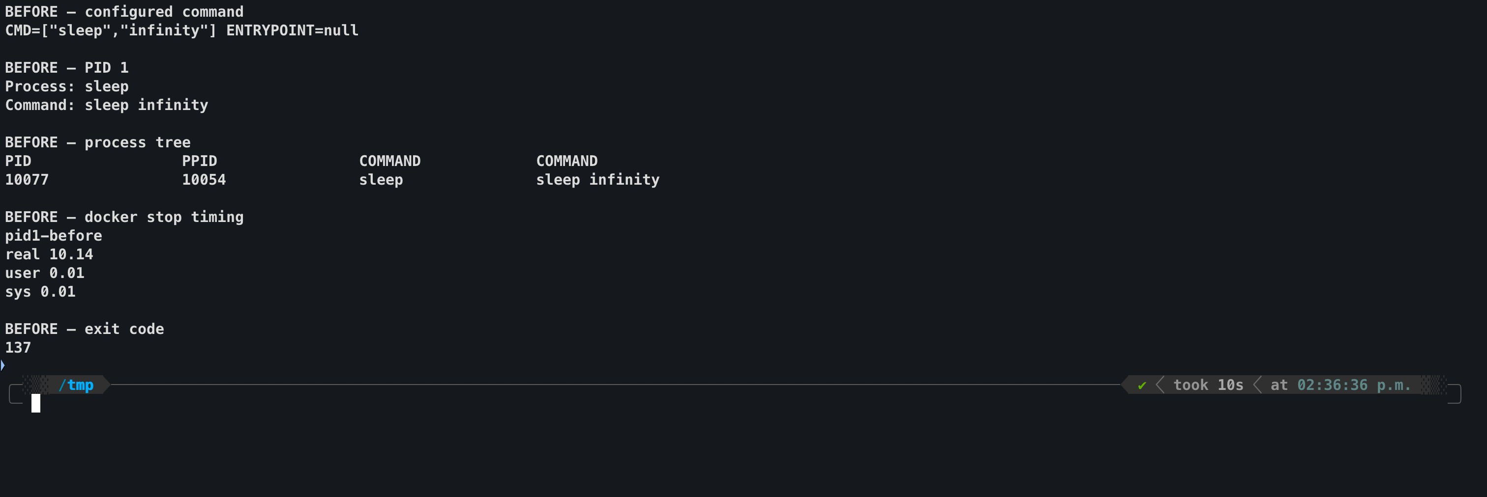 Terminal showing sleep as PID 1, docker stop taking 10.14 seconds, and the container exiting with code 137