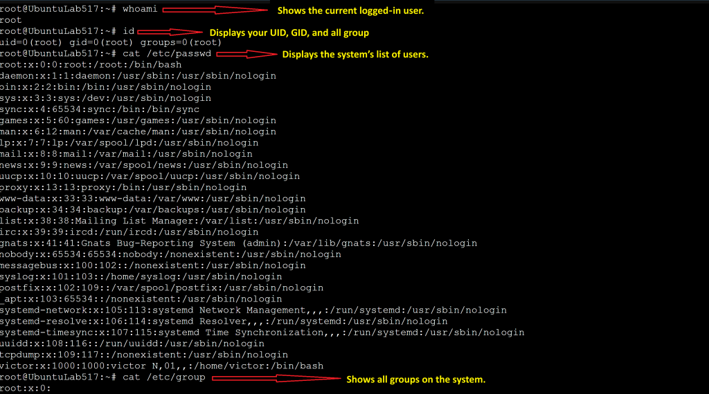 Terminal output of whoami, id, and the contents of /etc/passwd and /etc/group