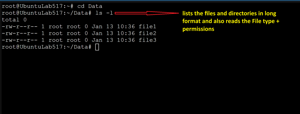 Terminal output of ls -l listing file permissions, owners, and groups