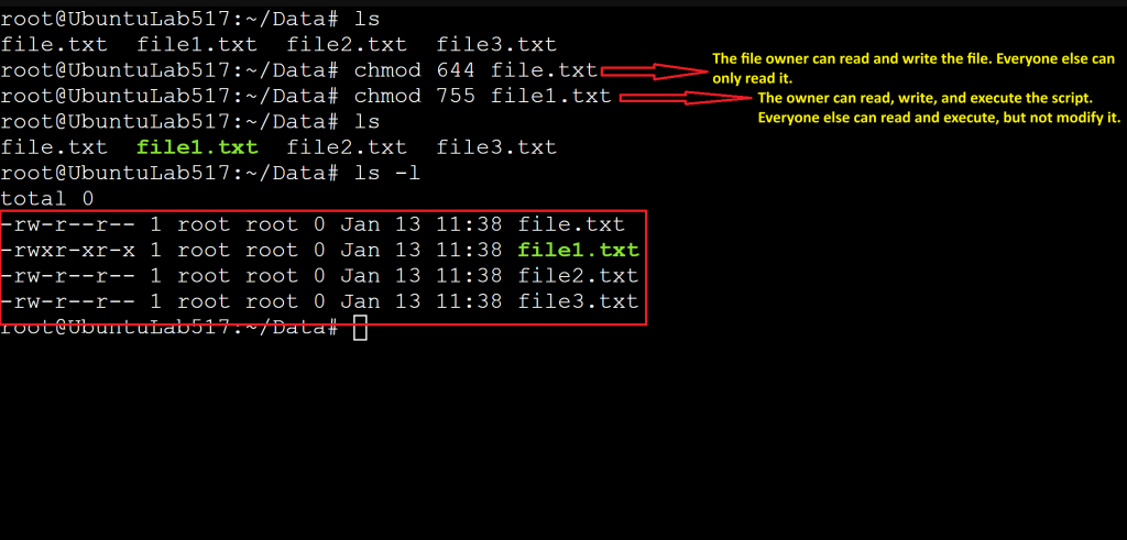 Terminal output showing file permissions after running chmod 644 and chmod 755