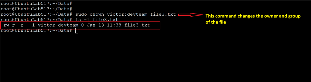 Screenshot: Understand what you are granting and to whom
