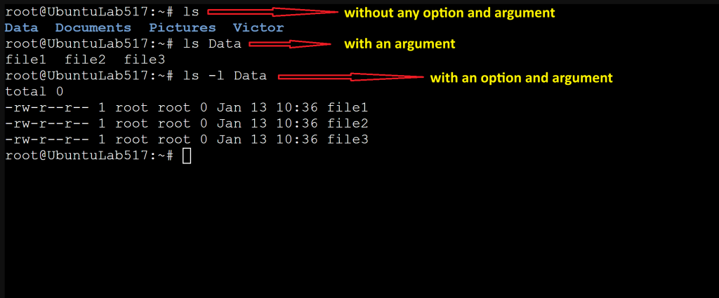 Screenshot: Options only modify and format the output. They do not control or specify a target for the command. Arguments