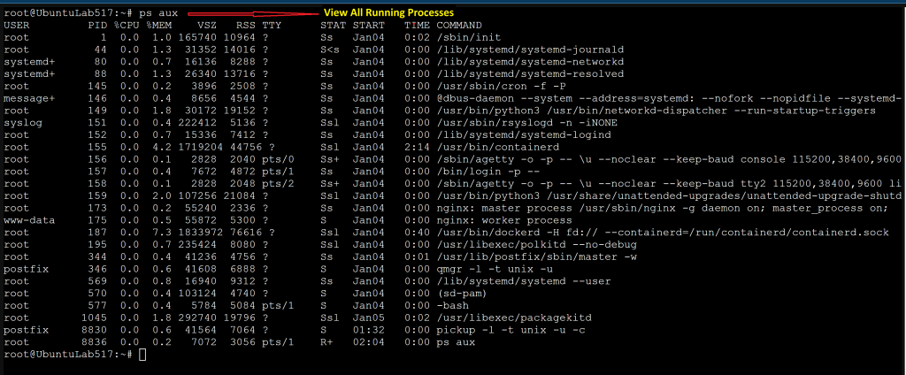 Terminal output of ps aux listing running processes with CPU and memory usage