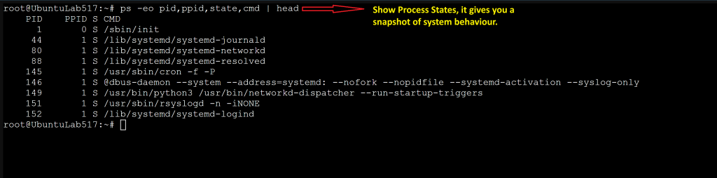 Screenshot: S is normal; most processes sleep until needed