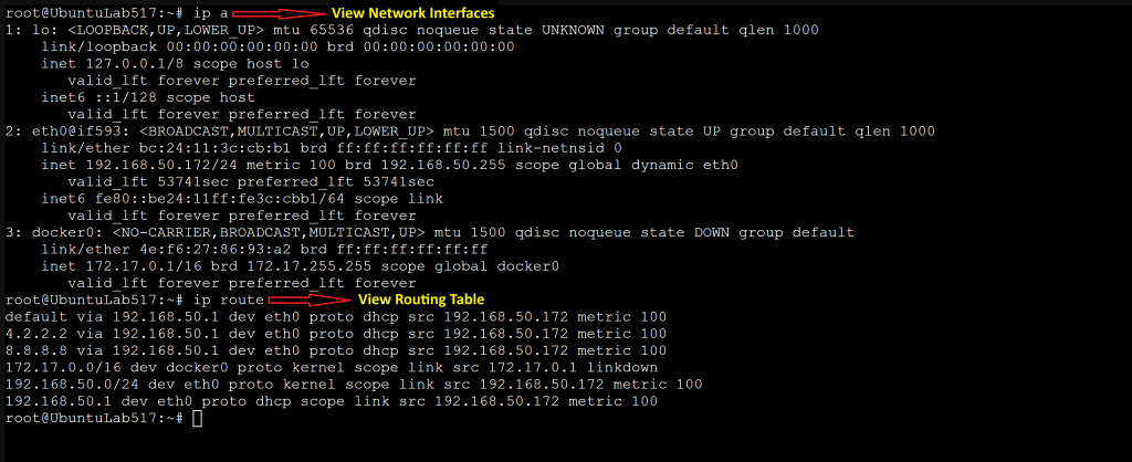 Screenshot: Learn how Linux sees the network