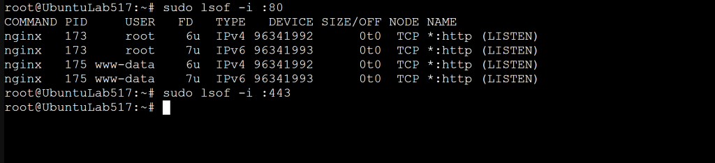 Screenshot: Lab: Check Which Process Owns a Port