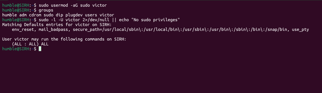 Terminal output verifying a user's sudo group membership after removal and rollback