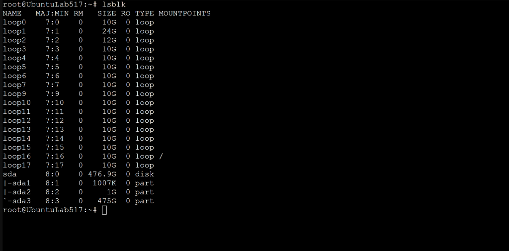 Terminal output of lsblk listing disks, partitions, sizes, and mount points