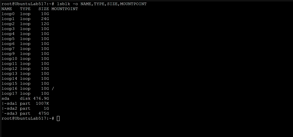 Terminal output of lsblk -o NAME,TYPE,SIZE,MOUNTPOINT distinguishing disks from partitions
