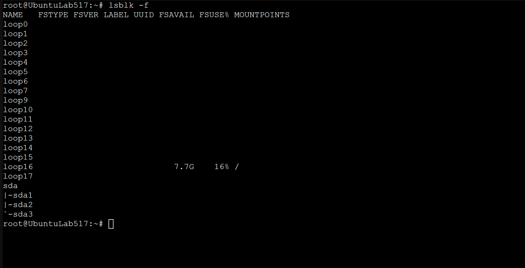 Terminal output of lsblk -f showing filesystem types and UUIDs for each partition