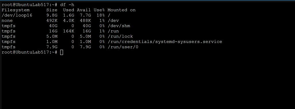 Terminal output of df -h showing the newly mounted filesystem and its usage
