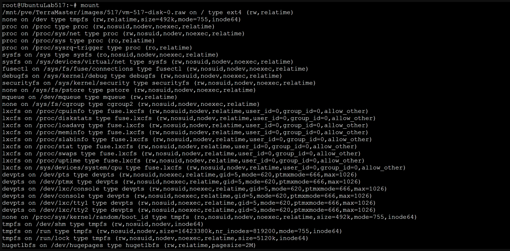 Terminal output of the mount command listing active mounts and their options