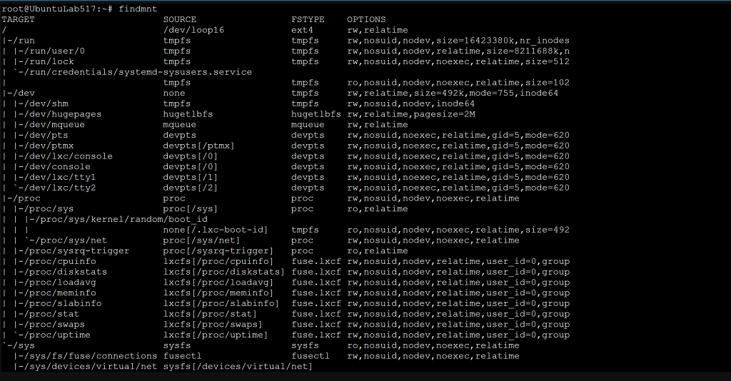 Terminal output of findmnt showing the mount tree with filesystem types and options (screenshot 2)