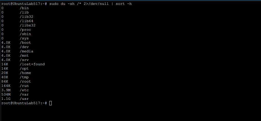 Terminal output of du sorted by size showing the largest directories on the system