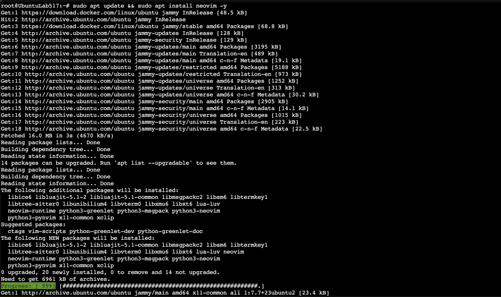 Screenshot: sudo apt install neovim -y